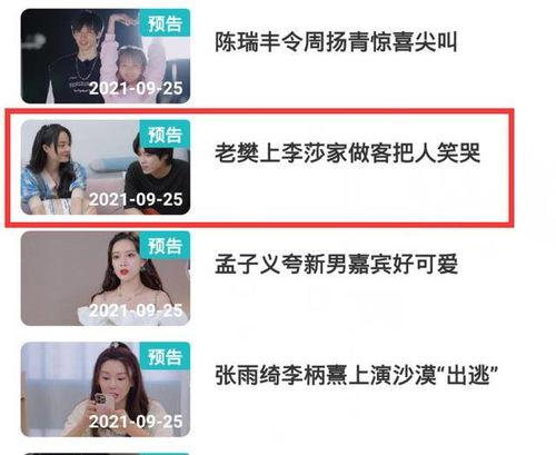 隔壁老樊被爆料借钱视频,揭秘网络红人背后的经济困境